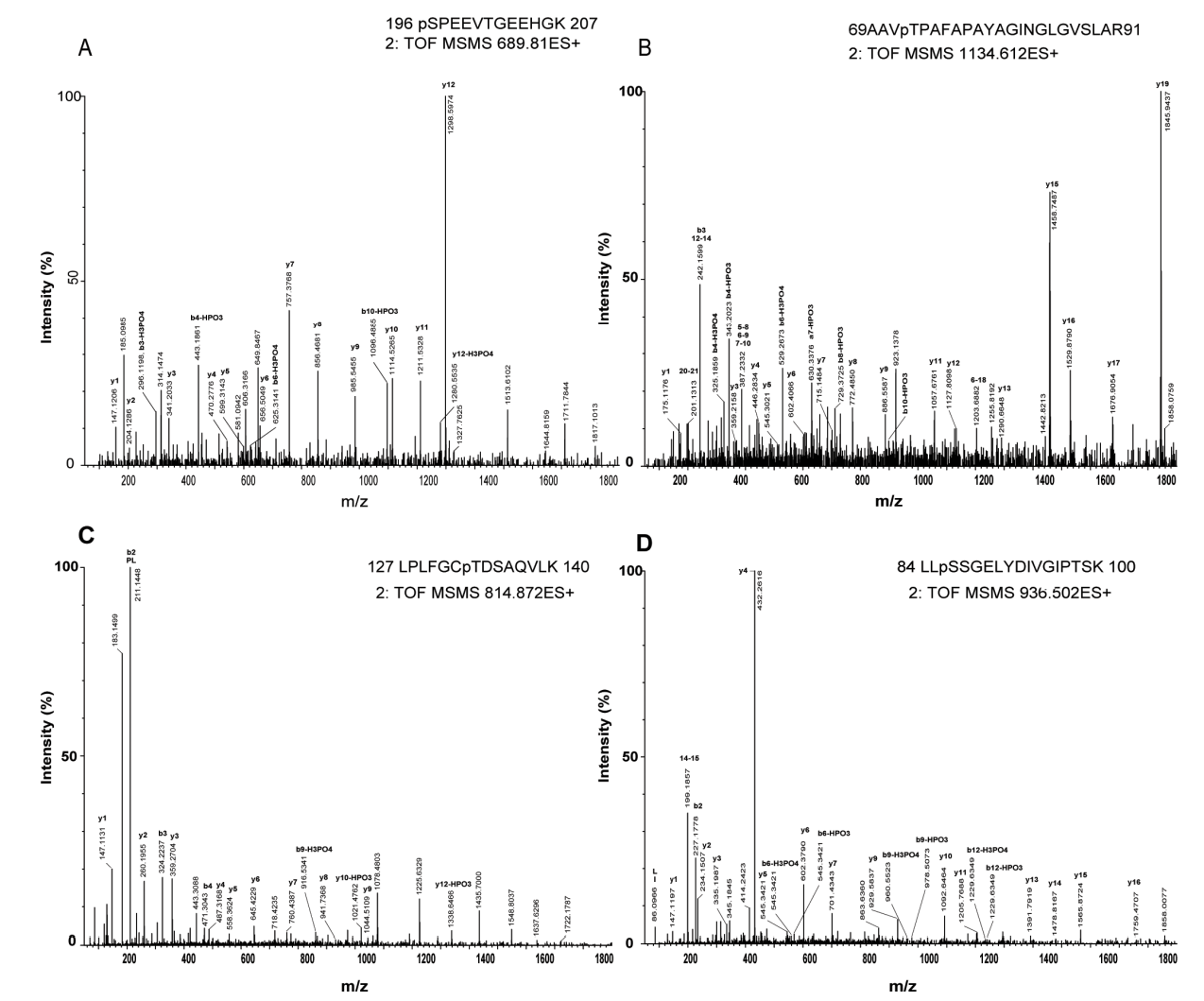 1891716938741698560-phosphorylation-site-identification-service4.PNG