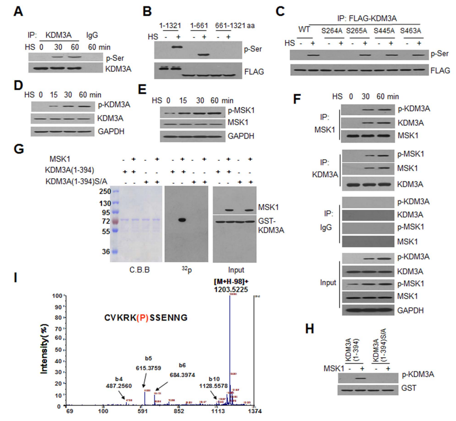 1891720045567528960-histone-phosphorylation-analysis-service3.PNG