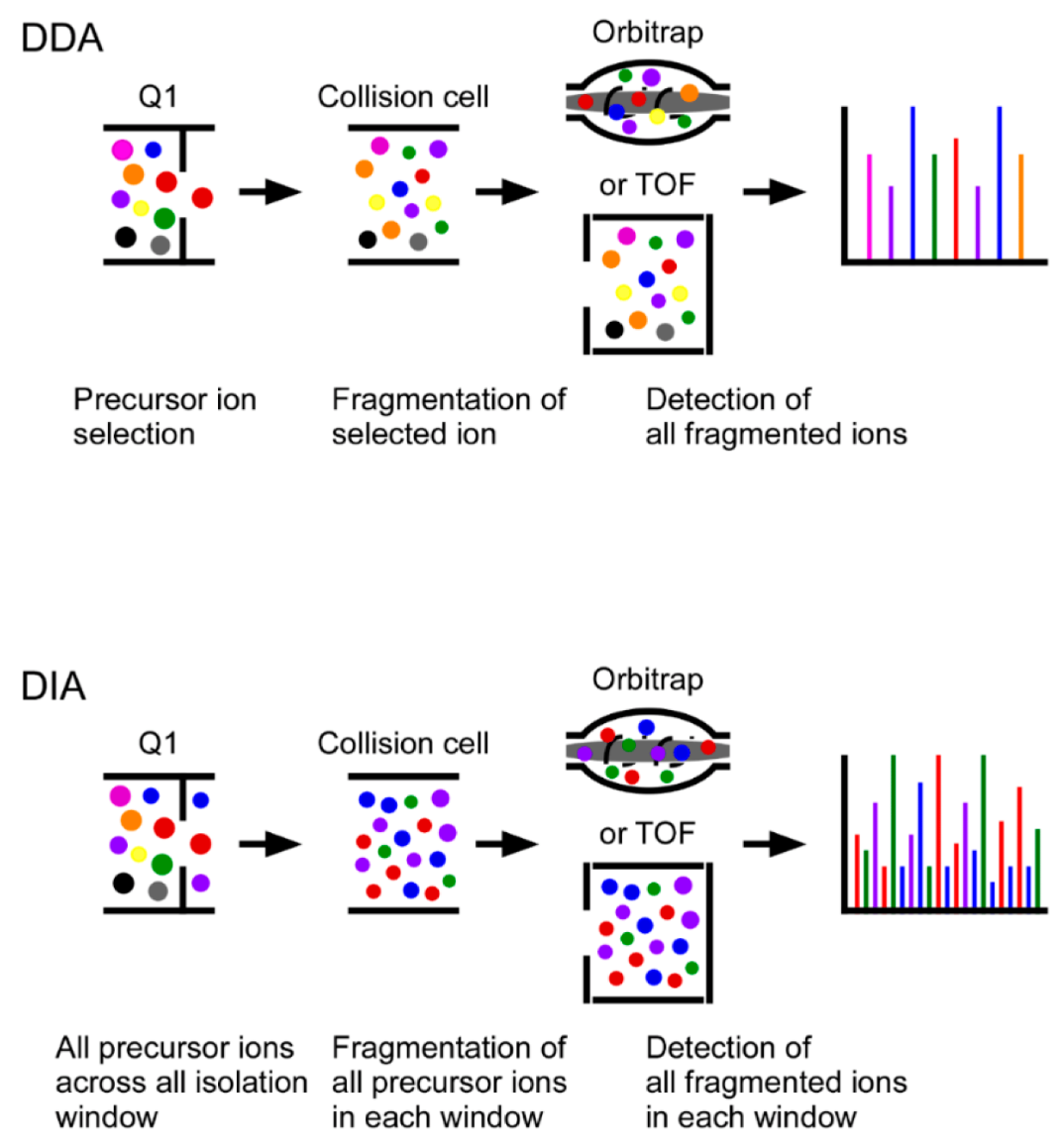 1892102577261760512-dia-ms-data-independent-acquisition-mass-spectrometry-based-quantitative-service1.png