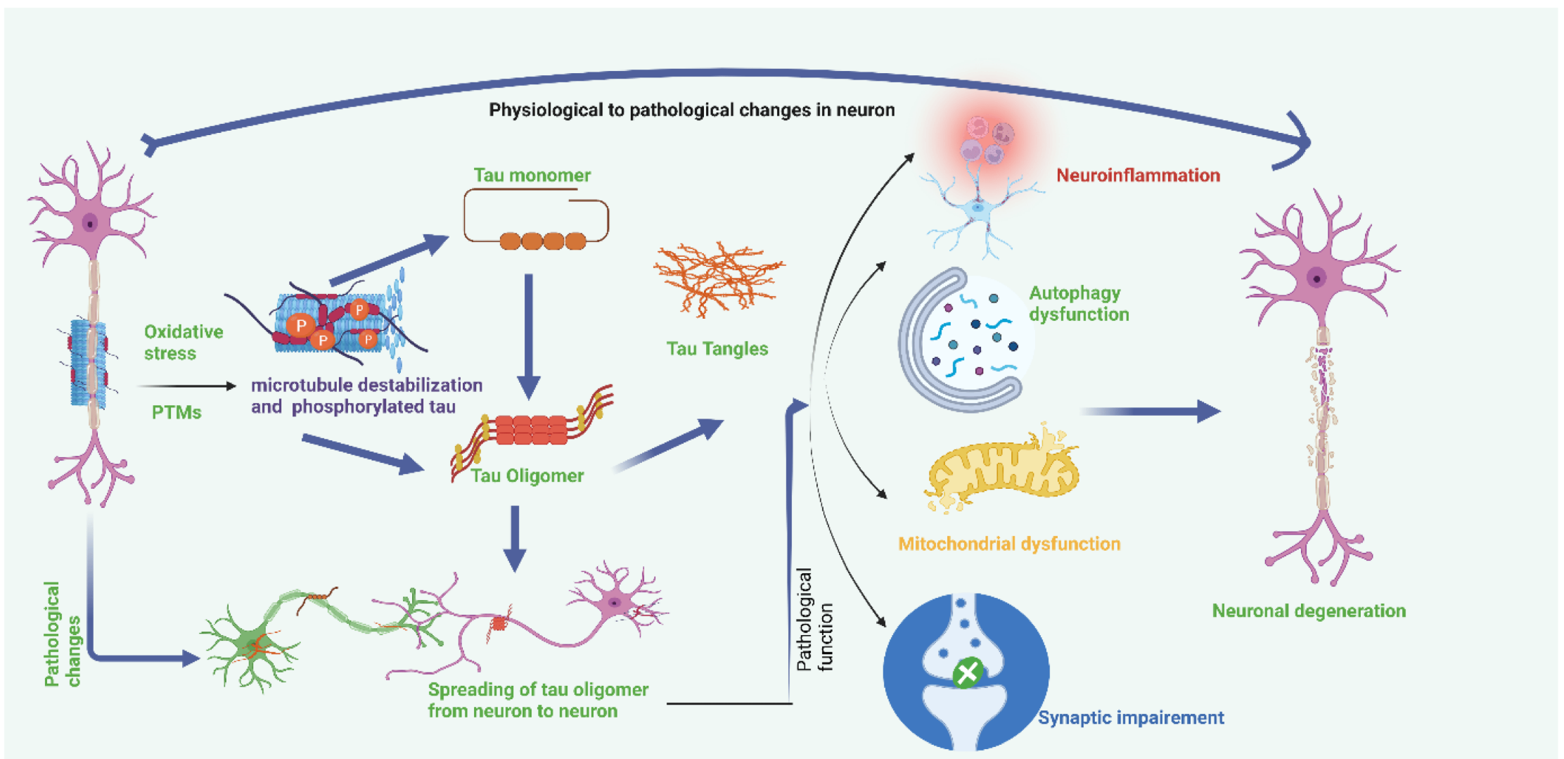 1892449078576009216-neurodegenerative-disease-phosphorylation-target-screening-service1.png
