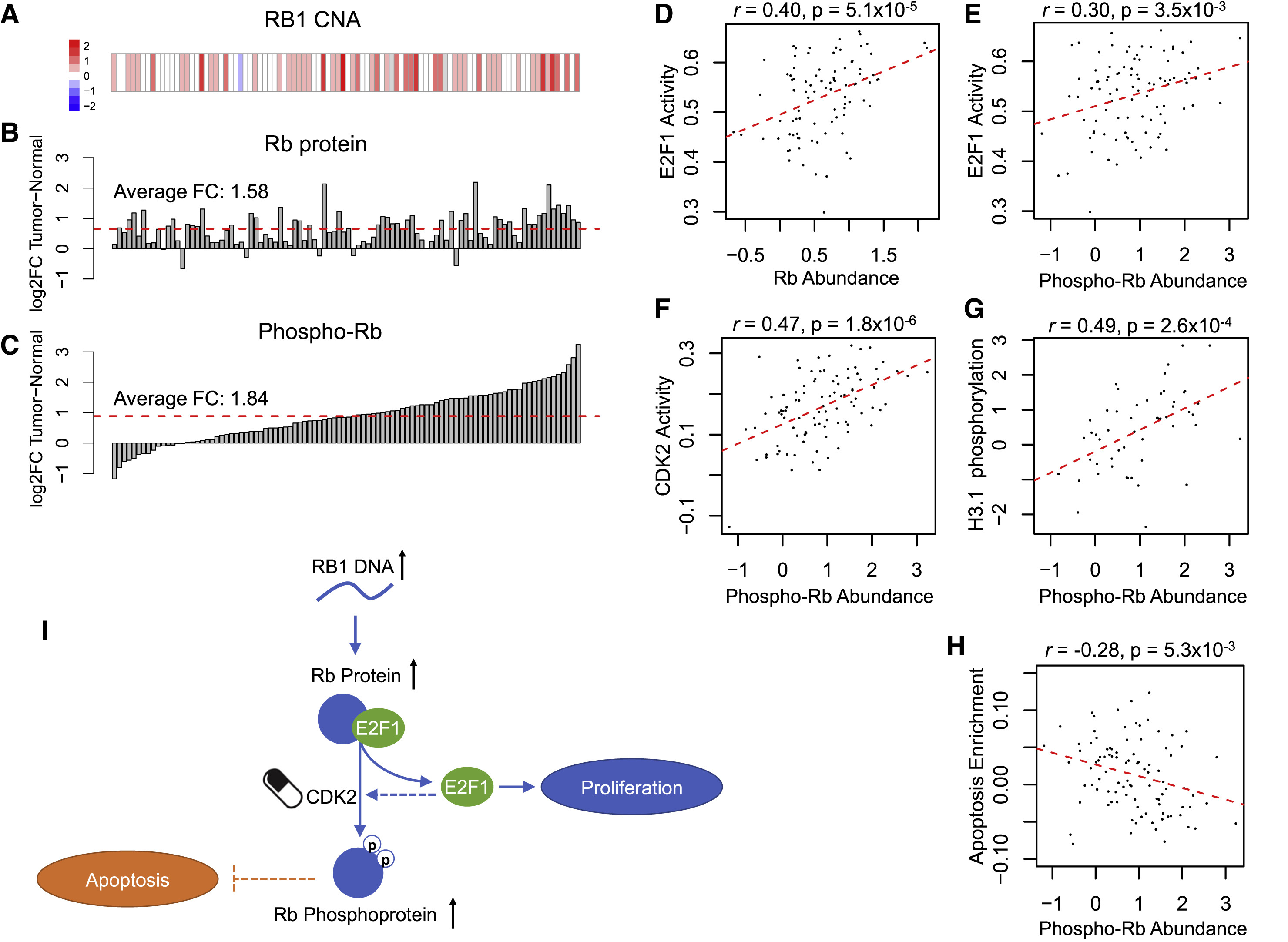 1892512337513533440-biomarker-discovery-service2.jpg
