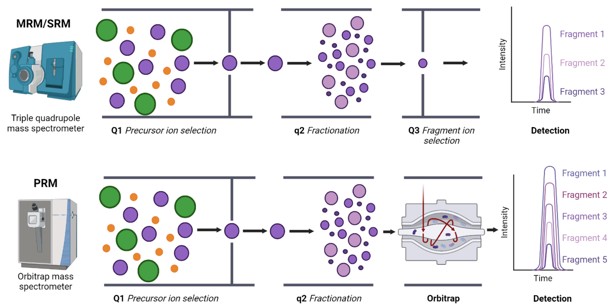 1893869355071557632-srm-prm-selected-parallel-reaction-monitoring-based-targeted-validation-service1.png