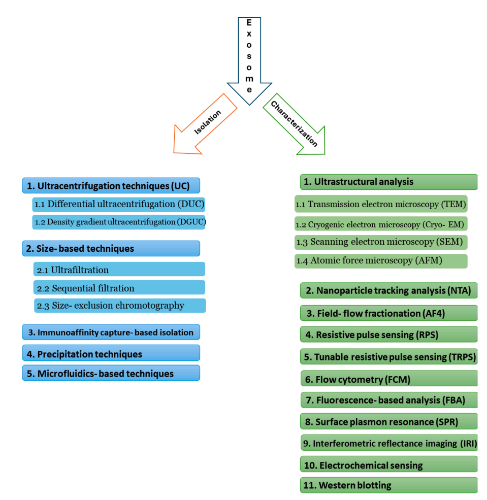1899333093350297600-exosome-characterization-service1.PNG