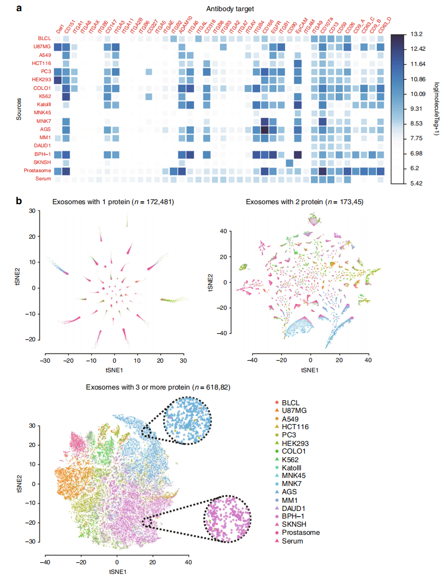 1899335544459612160-exosome-profiling-service2.PNG