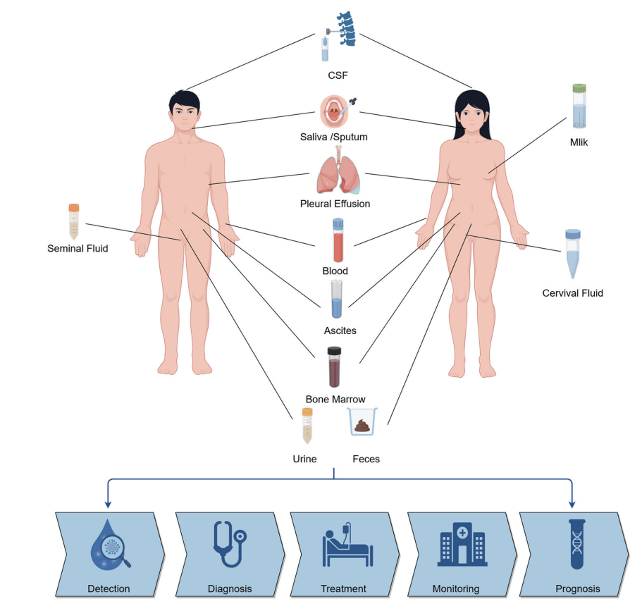 1906877916076691456-body-fluid-exosome-and-tissue-exosome-combined-research-service1.PNG