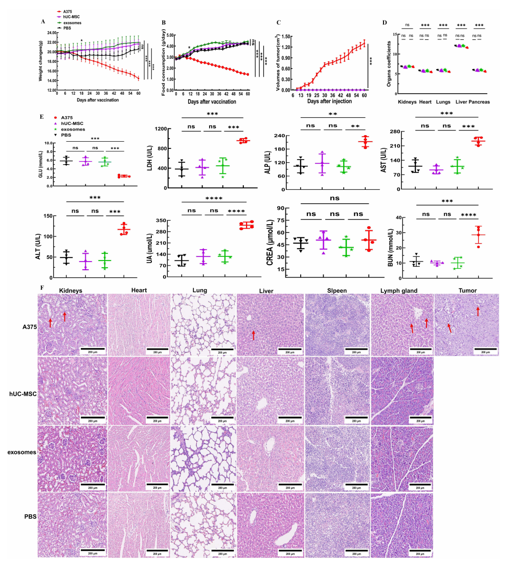 1906967898275565568-safety-evaluation-service-for-exosome-product1.PNG