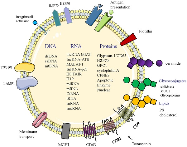1906983504085372928-exosomal-whole-transcriptome-sequencing-service1.jpg