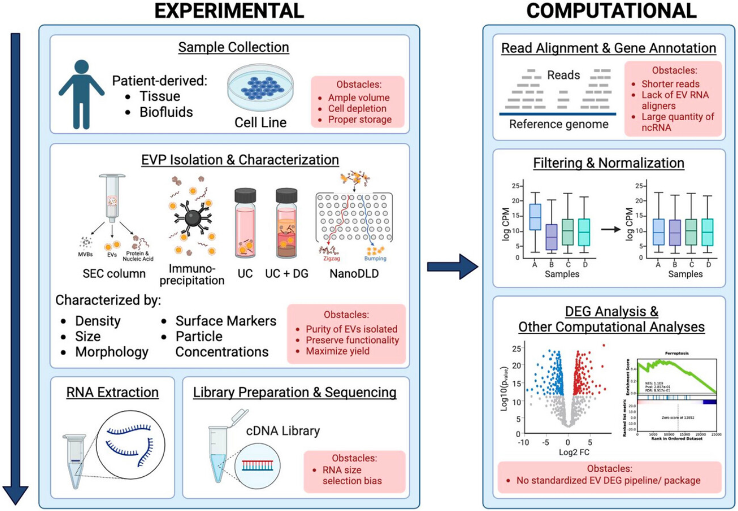 1906990464008572928-exosomal-whole-transcriptome-sequencing-service2.png