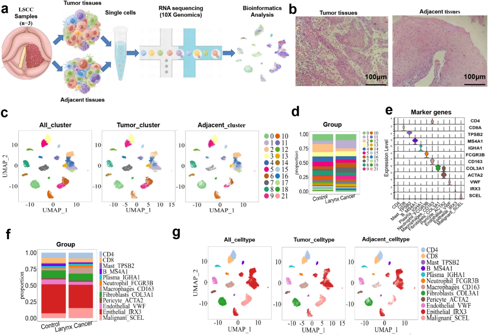 1906997596401553408-single-cell-tissue-exosome-combined-transcriptomic-research-service1.png