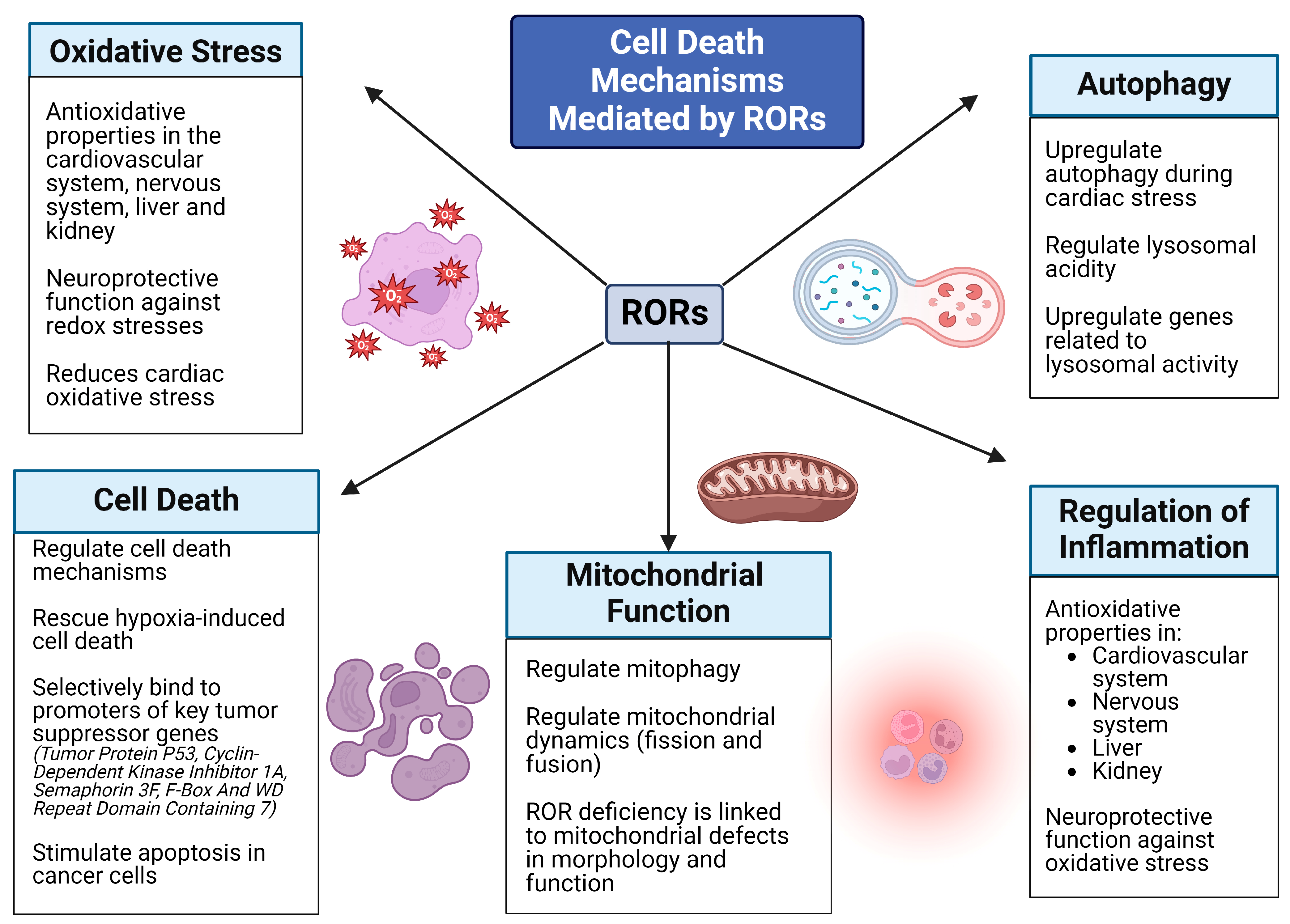 1907661004645978112-receptors-deorphanization-service1.png