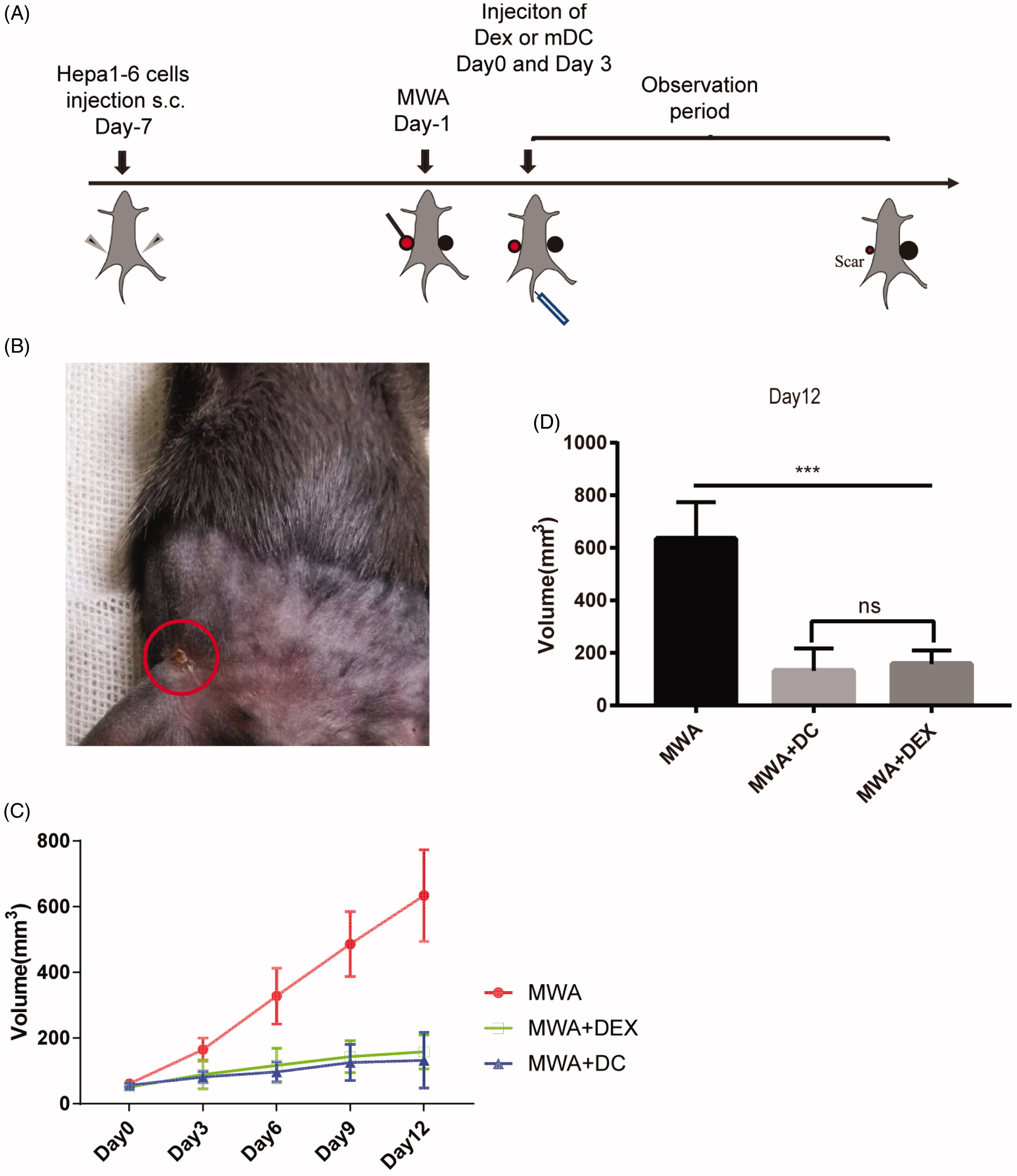 1907713307168067584-dendritic-cell-derived-exosomes-based-vaccine2.jpg