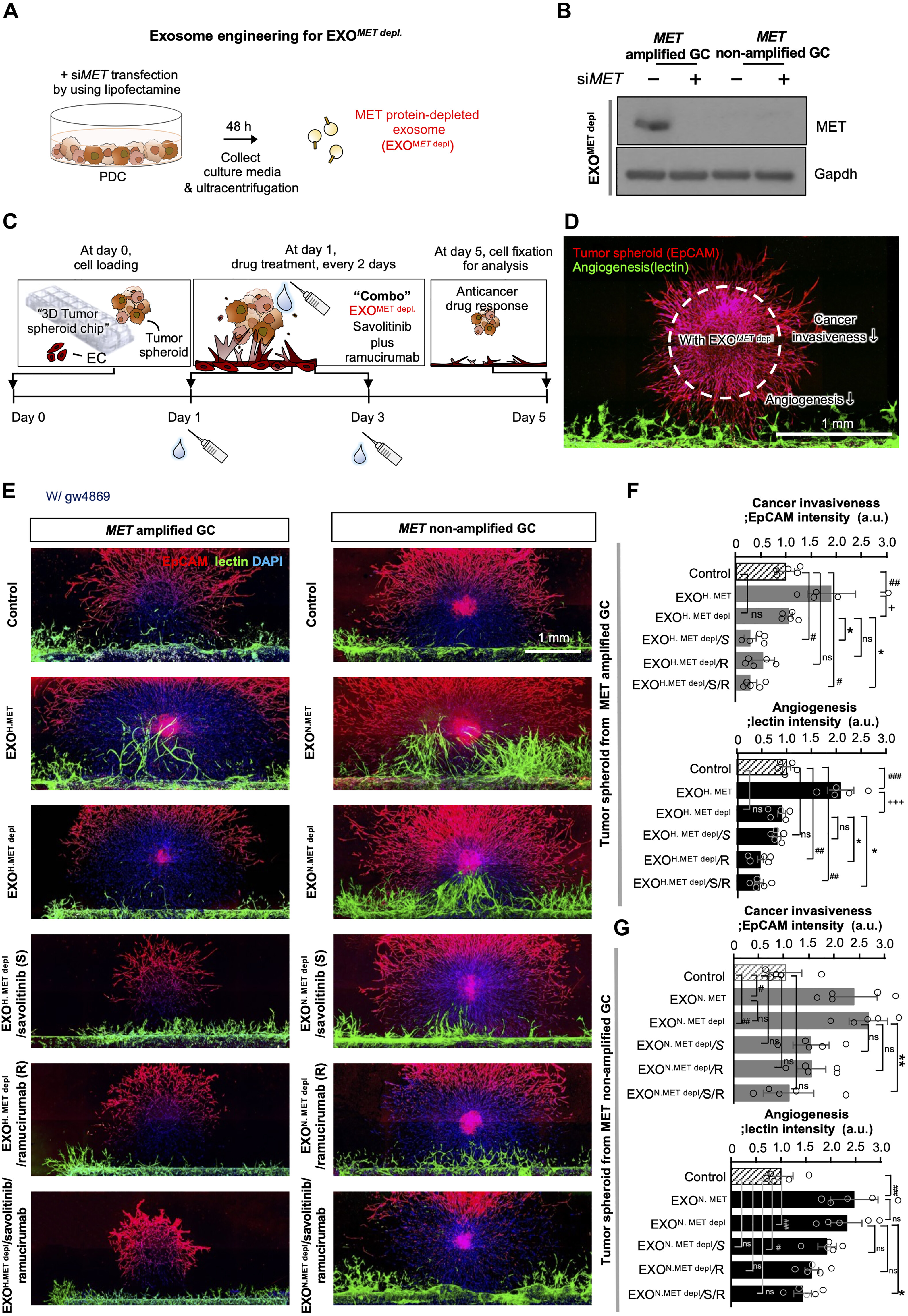 1907717838257901568-ascitic-cell-derived-exosomes-based-vaccines2.jpg
