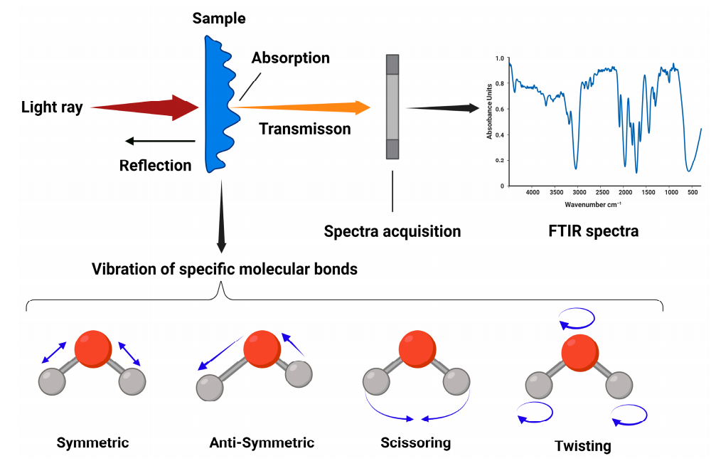 1909061117163458560-fourier-transform-infrared-spectroscopy-ftir-service1.PNG