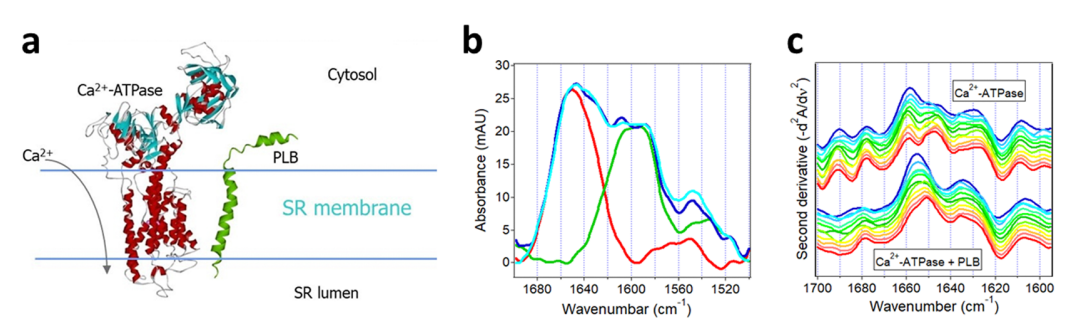 1909062045954330624-fourier-transform-infrared-spectroscopy-ftir-service2.PNG