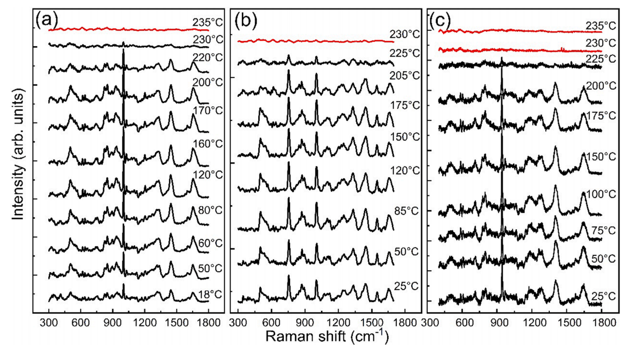 1909073024758960128-raman-spectroscopy-analytical-service3.PNG