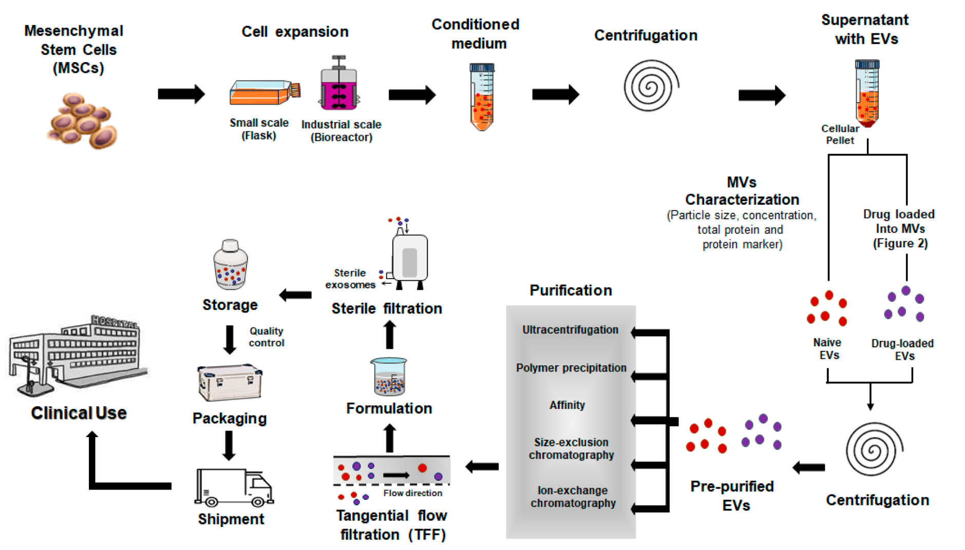 1909184876834836480-exosome-manufacturing-service1.png
