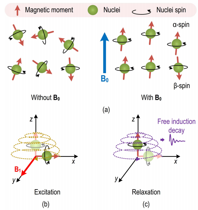 1909419832072851456-nuclear-magnetic-resonance-nmr-testing-service1.PNG