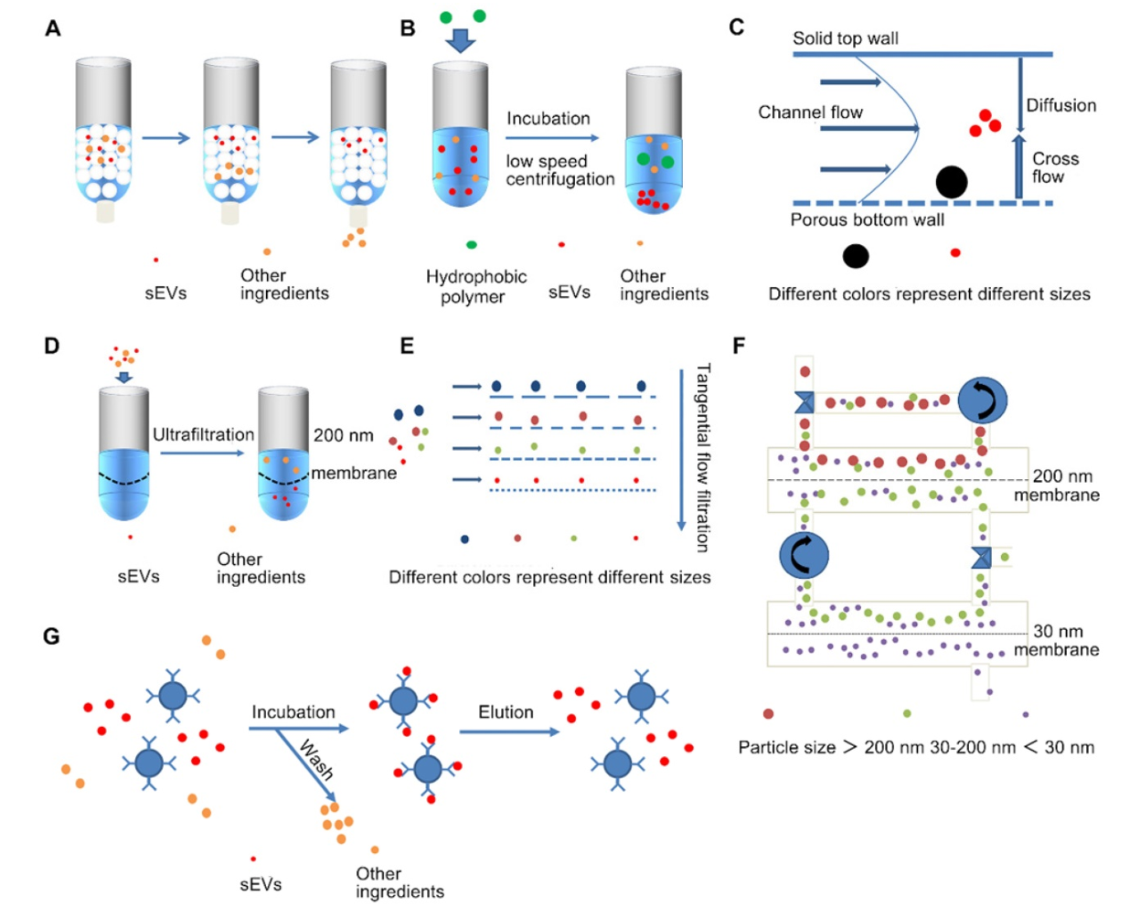 1910169052648165376-extracellular-vesicle-isolation-and-purification-services2.png