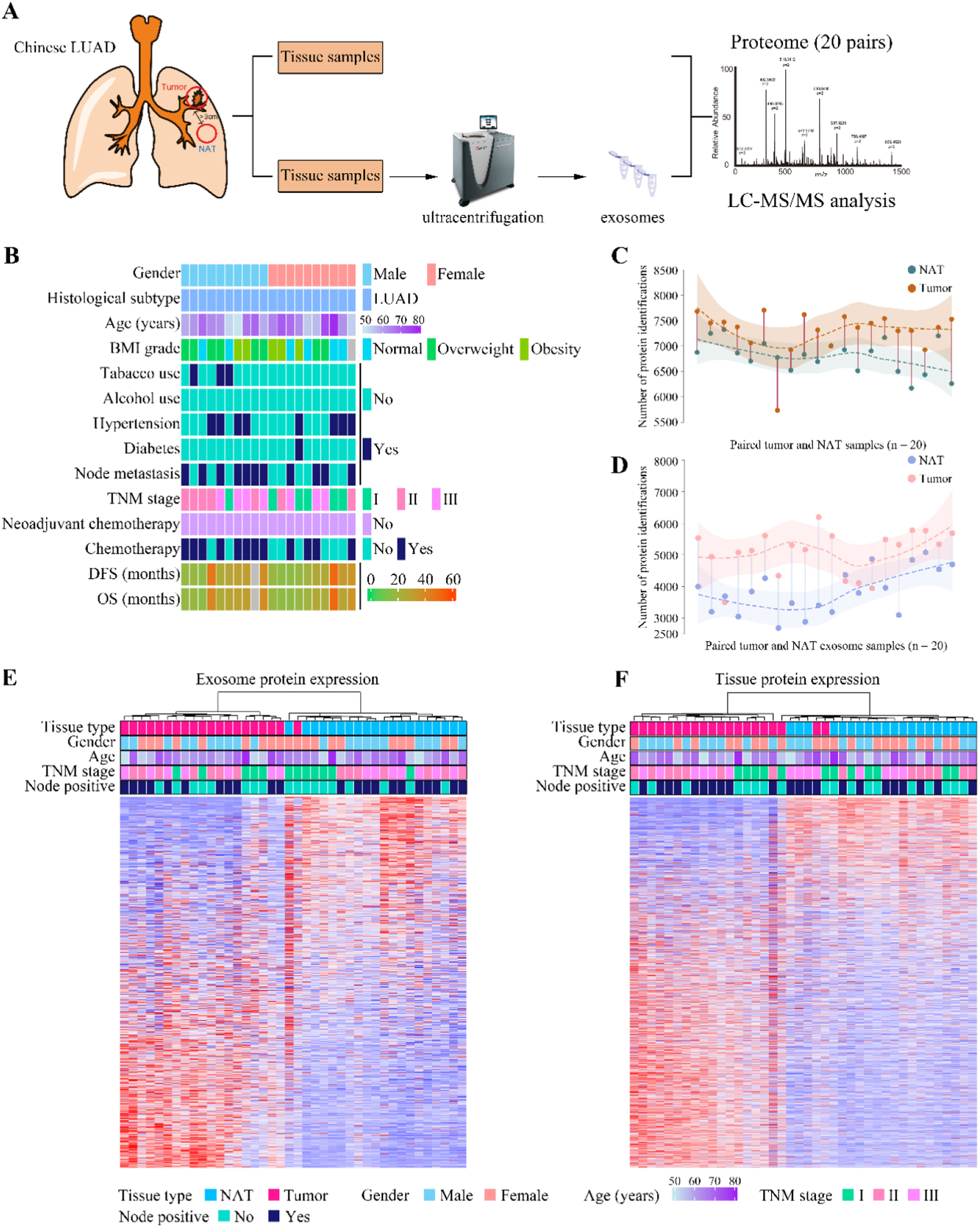 1909903057685696512-tumor-and-cancer-tissue-exosome-research-and-application3.jpg