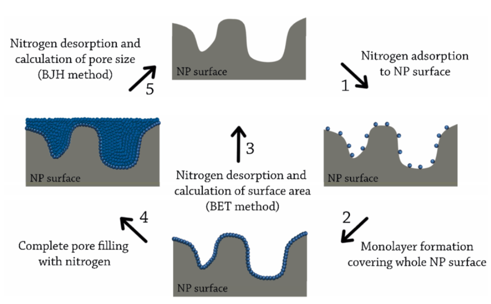 1910581039446216704-bet-specific-surface-area-testing-service1.png