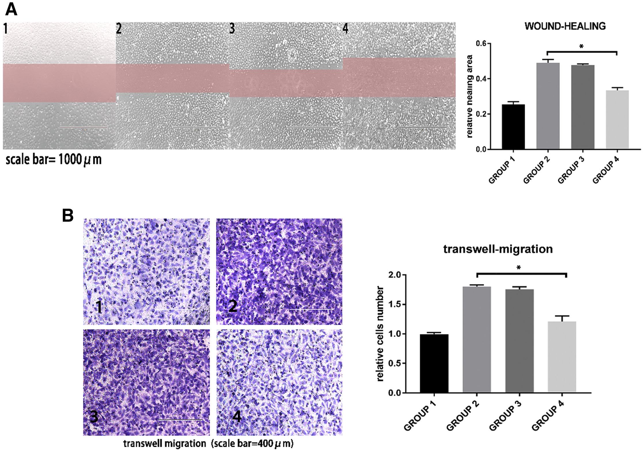 1911702455843409920-exosome-in-vitro-functional-research-services2.jpg
