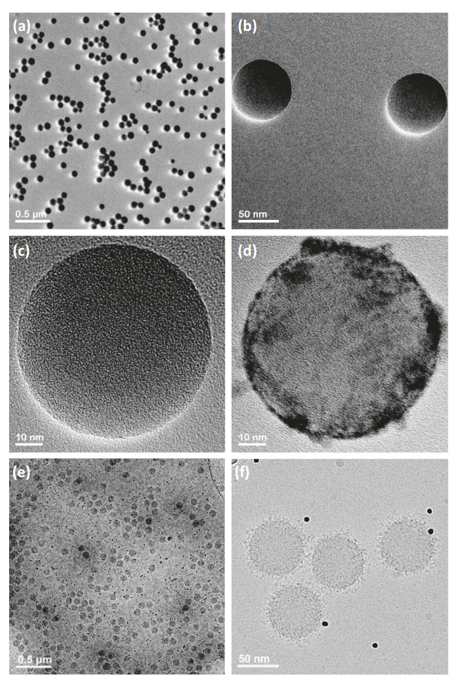 1912373934180388864-transmission-electron-microscopy-tem-analytical-service2.PNG