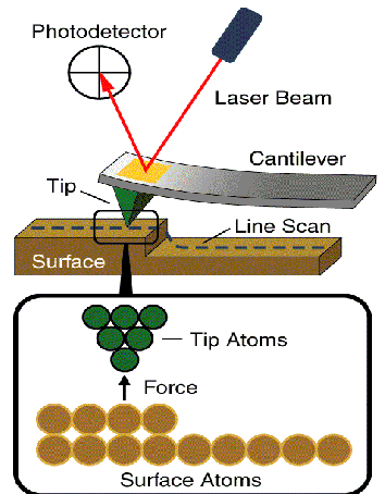 1912427955930910720-atomic-force-microscopy-afm-characterization-service1.png