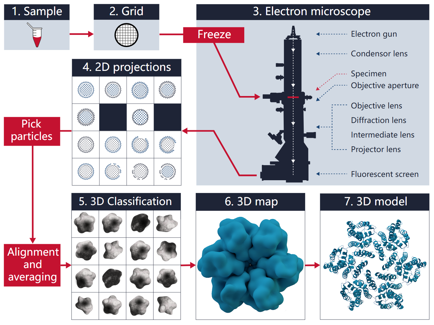 1913056970085617664-cryo-tem-imaging-analysis1.png