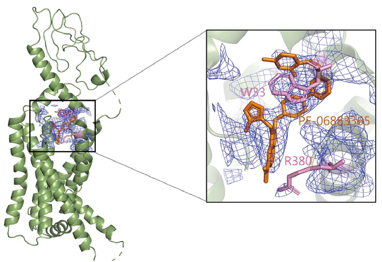 1913125723502661632-cryo-tem-imaging-analysis6.png