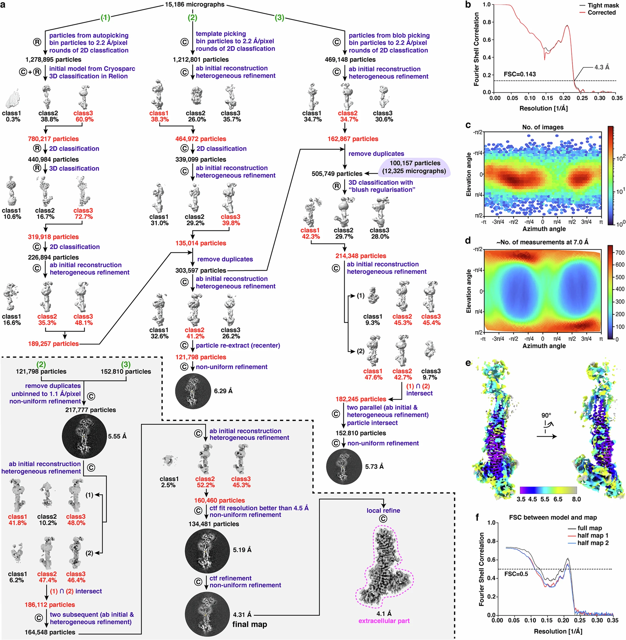 1913153544857964544-single-particle-analysis-spa-service2.webp