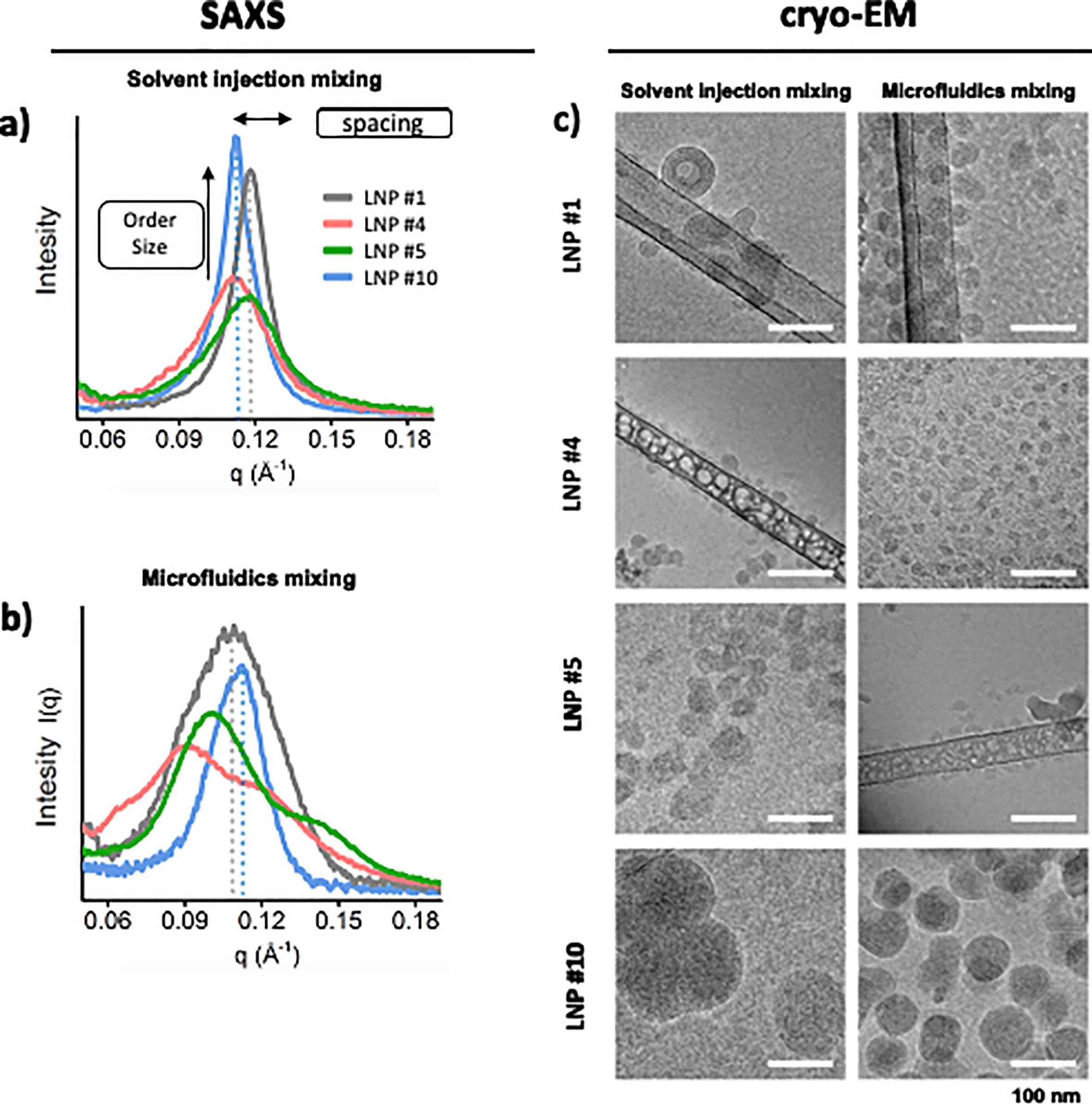 1913159744676810752-lipid-nanoparticles-lnps-structure-characterization-service-cryo-em2.jpg
