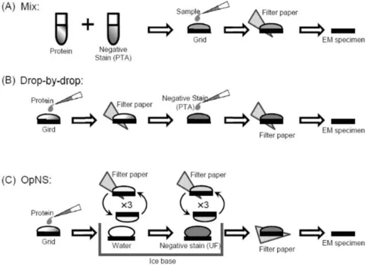 1914134308080701440-particle-titer-determination-service-cryo-em1.png