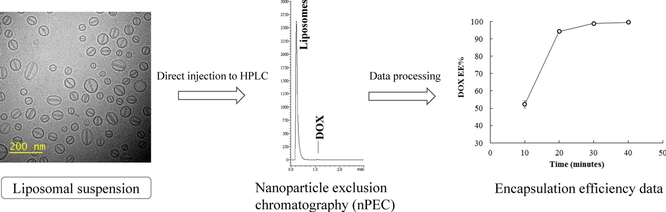 1914221212578992128-payload-distribution-encapsulation-efficiency-analysis-service-cryo-em1.jpg