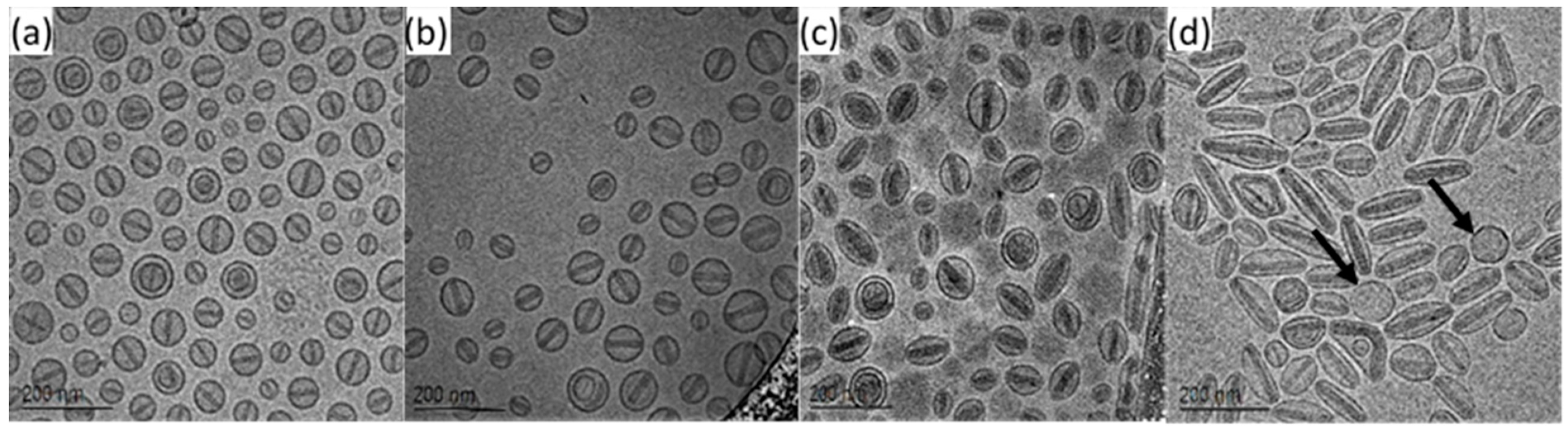 1914221509074341888-payload-distribution-encapsulation-efficiency-analysis-service-cryo-em2.png