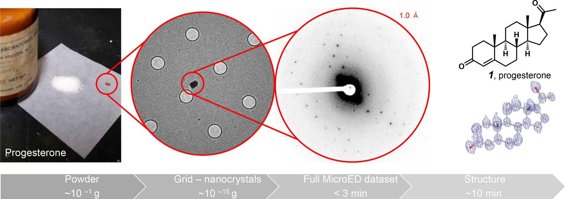1914238546634985472-microed-for-structural-analysis-service1.jpeg