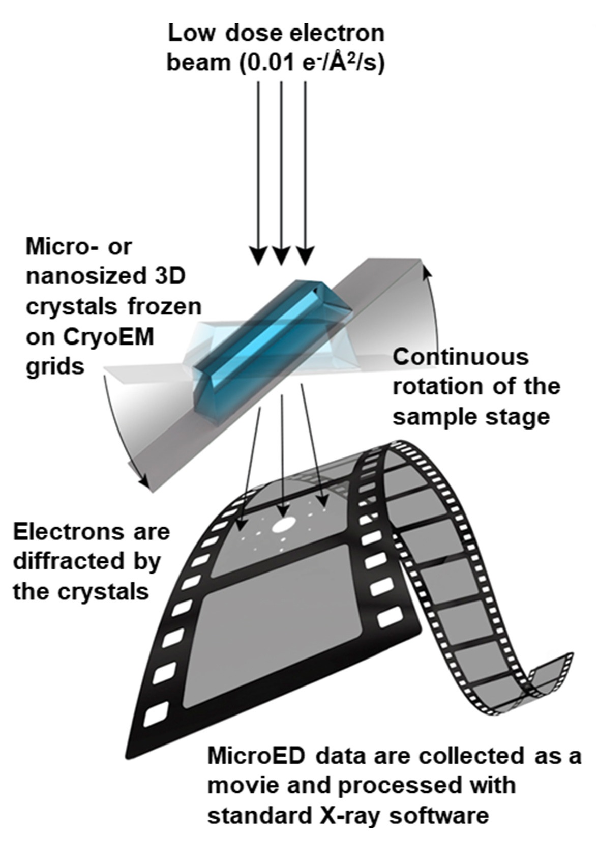 1915321455664025600-microed-for-new-material-analysis-service1.jpg