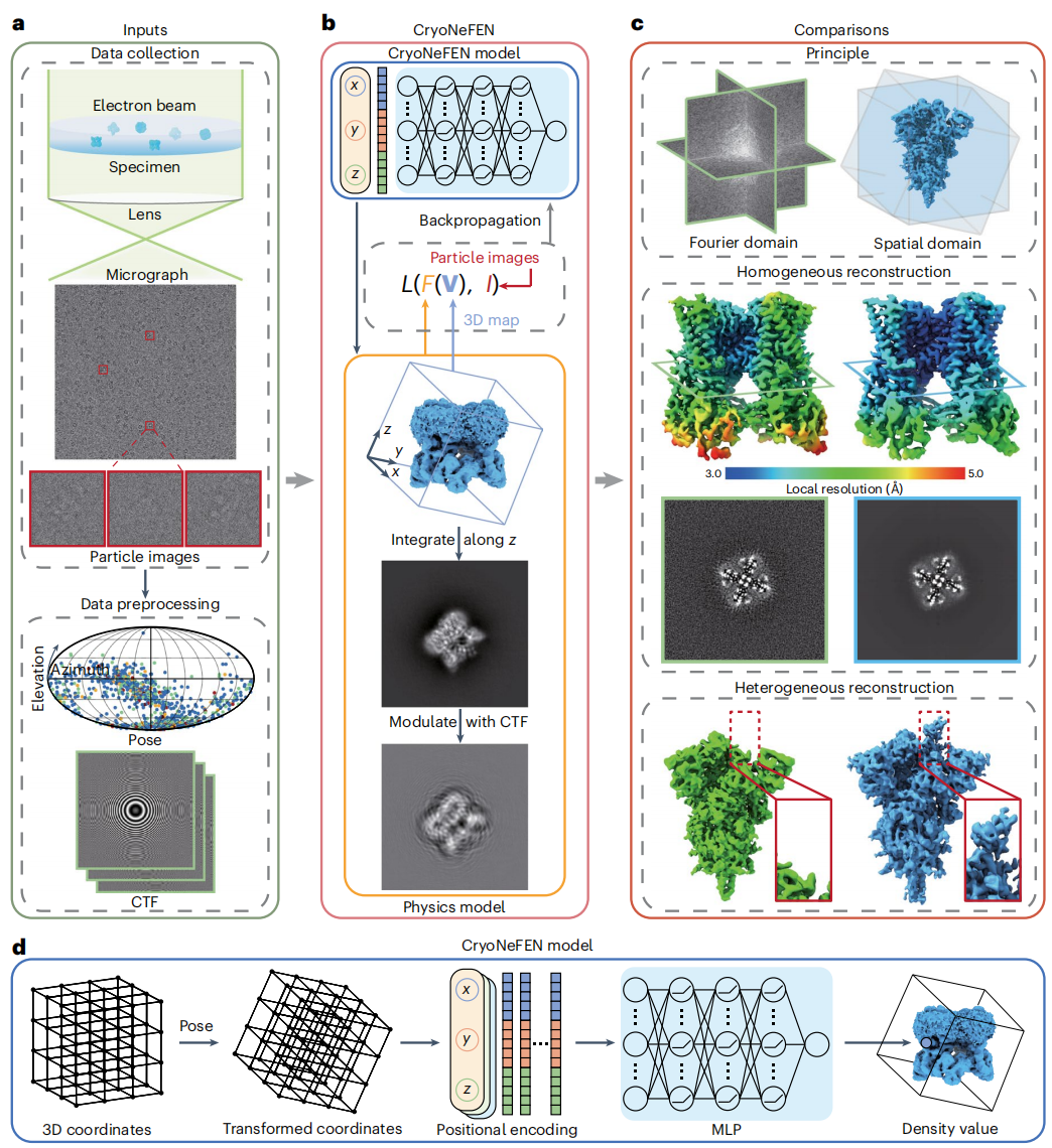 1915343595838754816-3d-structures-reconstruction-service1.png
