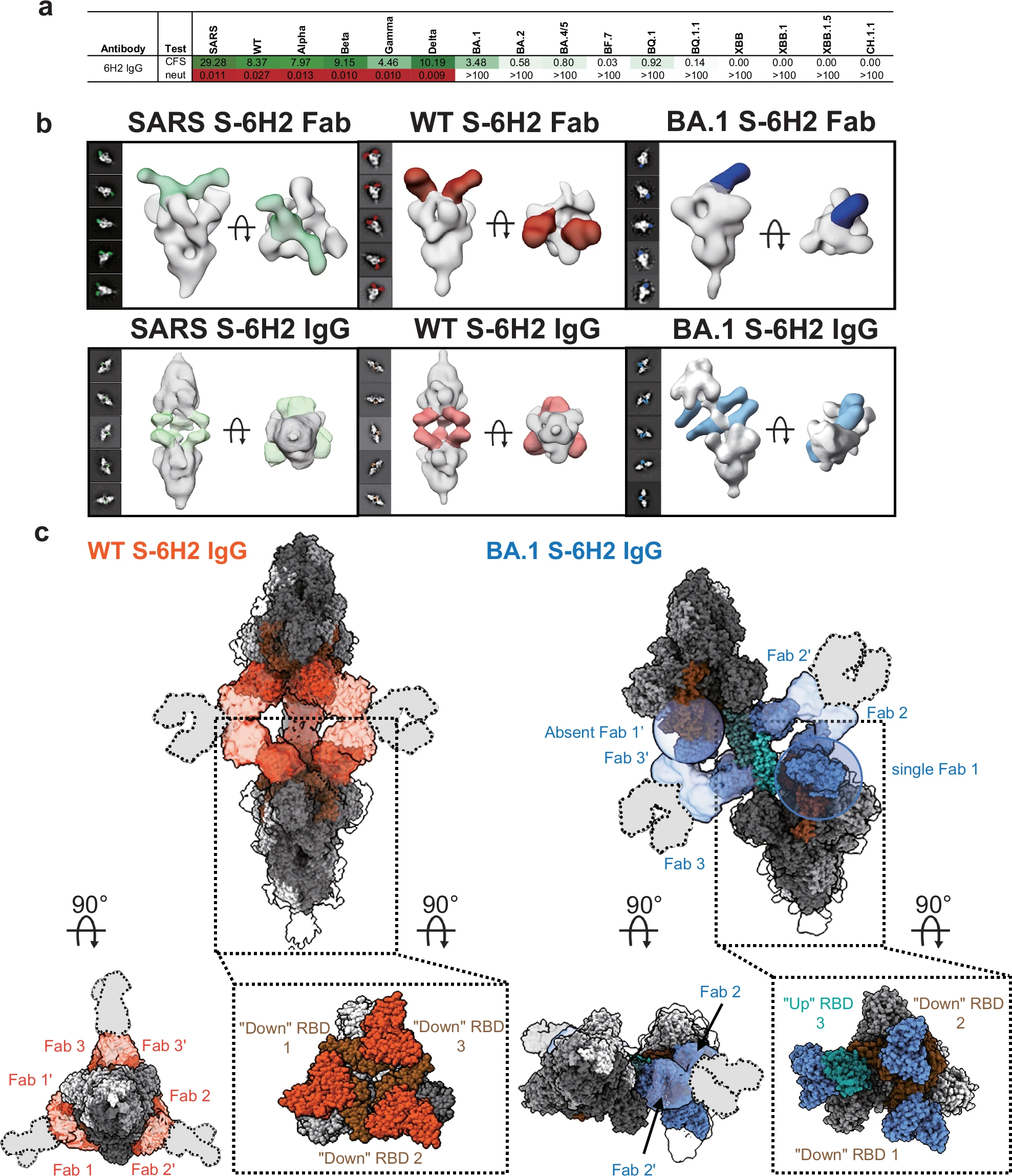 1915684315057475584-antibody-antigen-complexes-structure-characterization-service2.webp