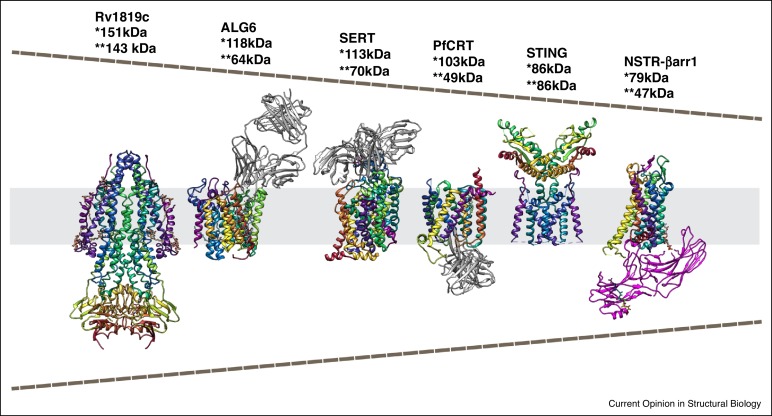 1915684908052369408-small-proteins-structure-characterization-service1.jpg