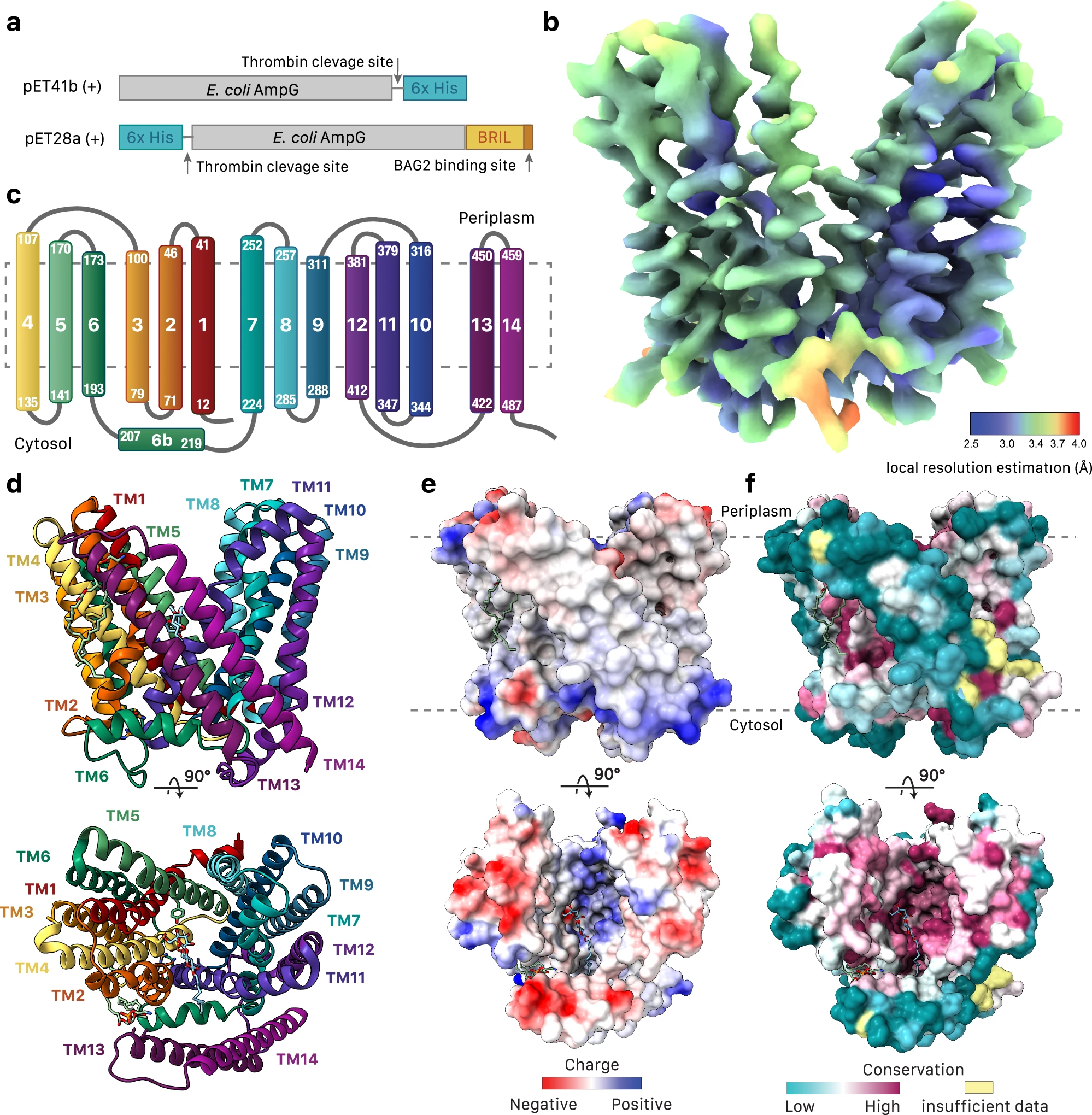 1915684963119386624-small-proteins-structure-characterization-service2.webp