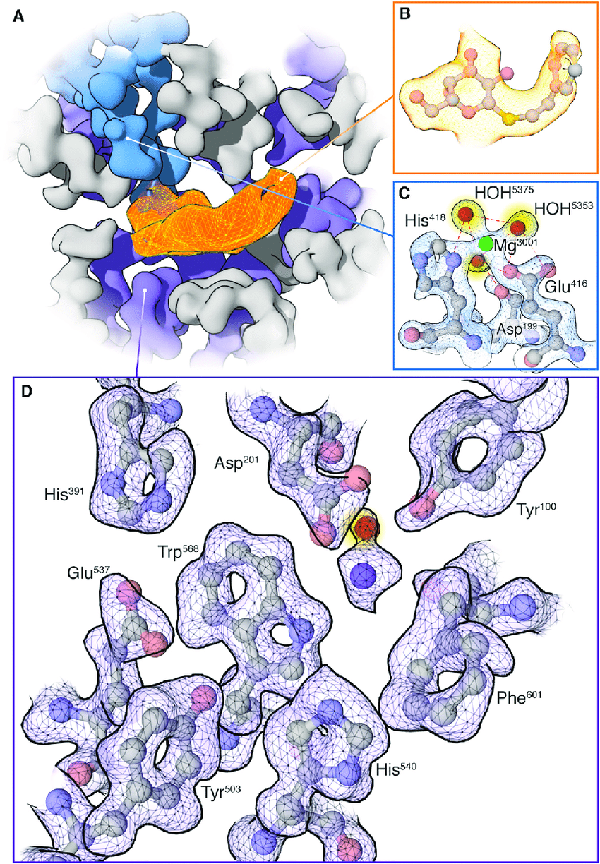 1916412010527576064-protein-ligand-structure-characterization-service1.png