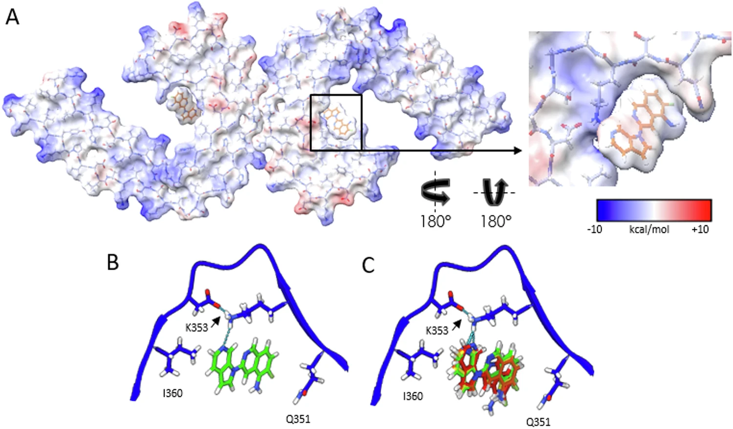 1916412739669577728-protein-ligand-structure-characterization-service2.webp