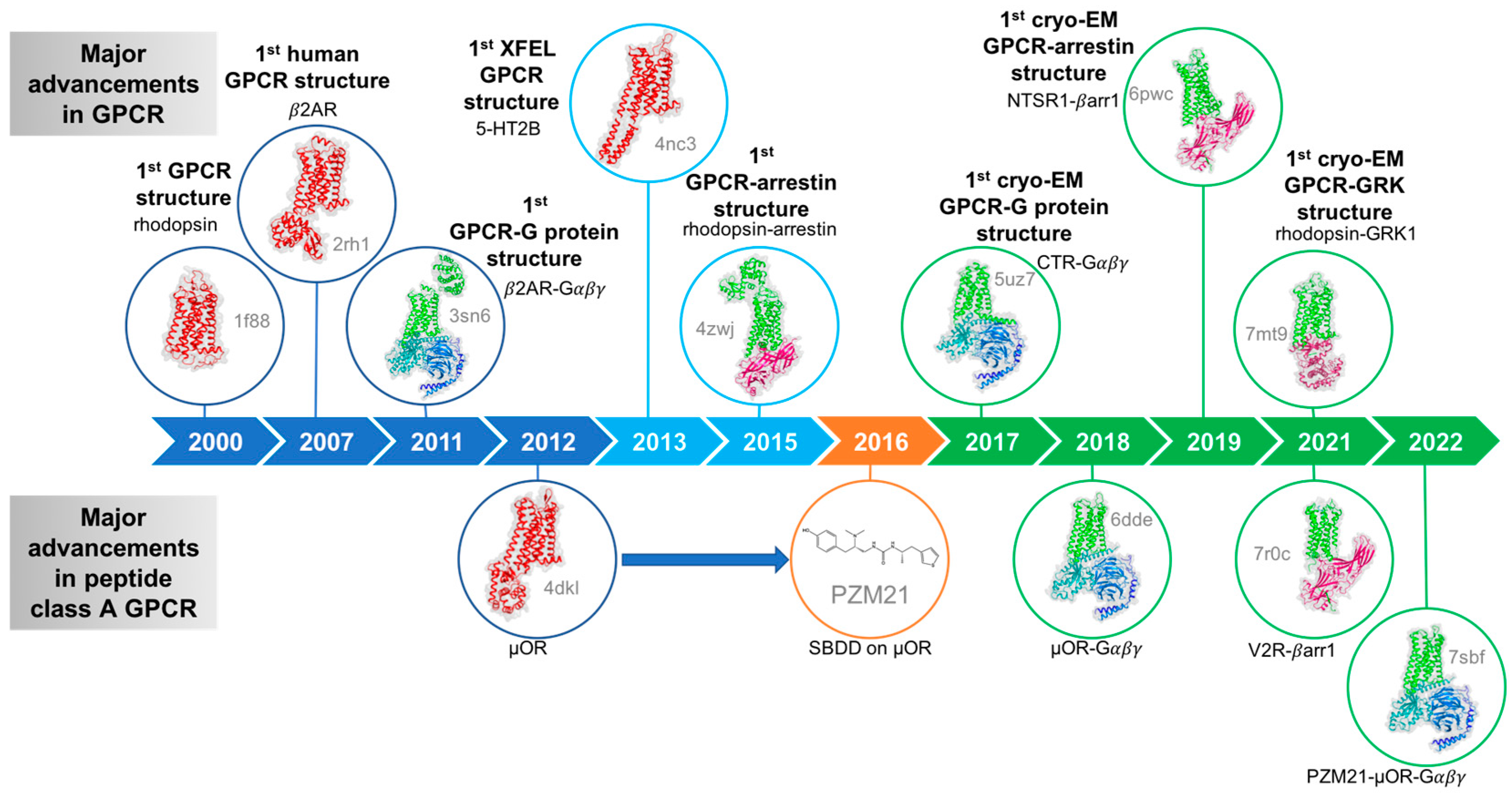 1916414205000011776-gpcrs-structure-characterization-service1.png