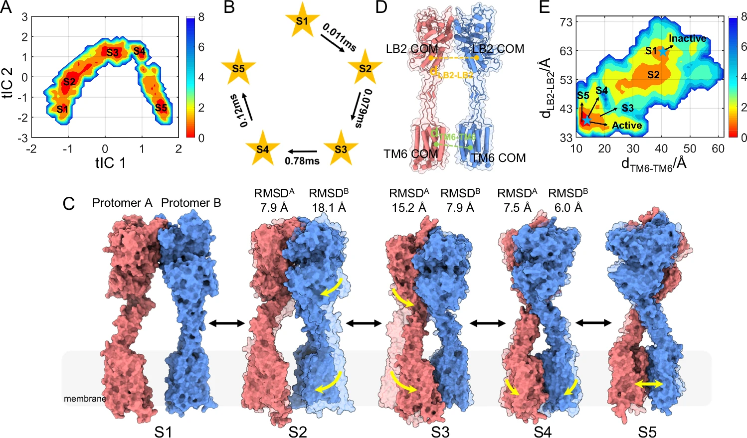 1916414801178382336-gpcrs-structure-characterization-service2.webp