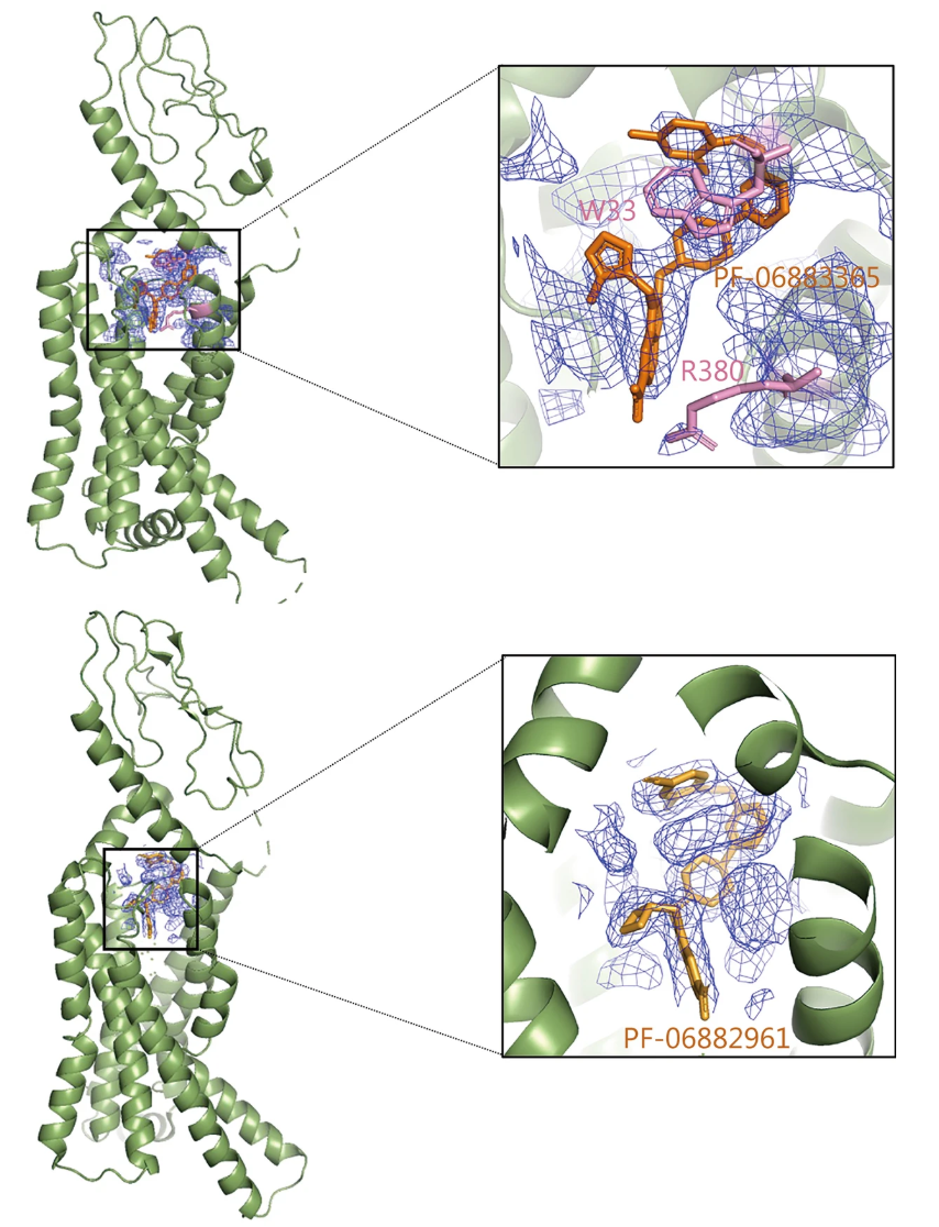 1916727893007388672-drug-manufacturing-process-validation-service-cryo-em1.png