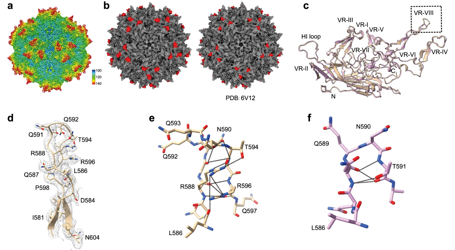 1916727988897566720-drug-manufacturing-process-validation-service-cryo-em2.png