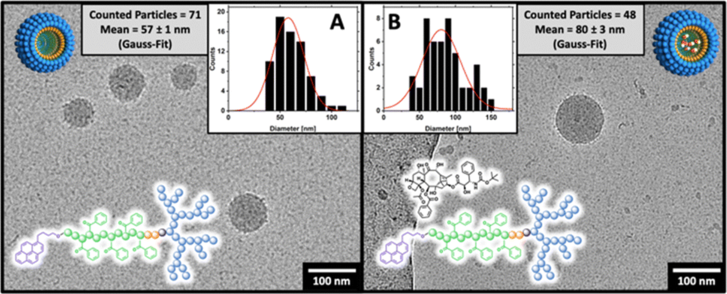 1916772369167929344-drug-stability-testing-service-cryo-em1.png