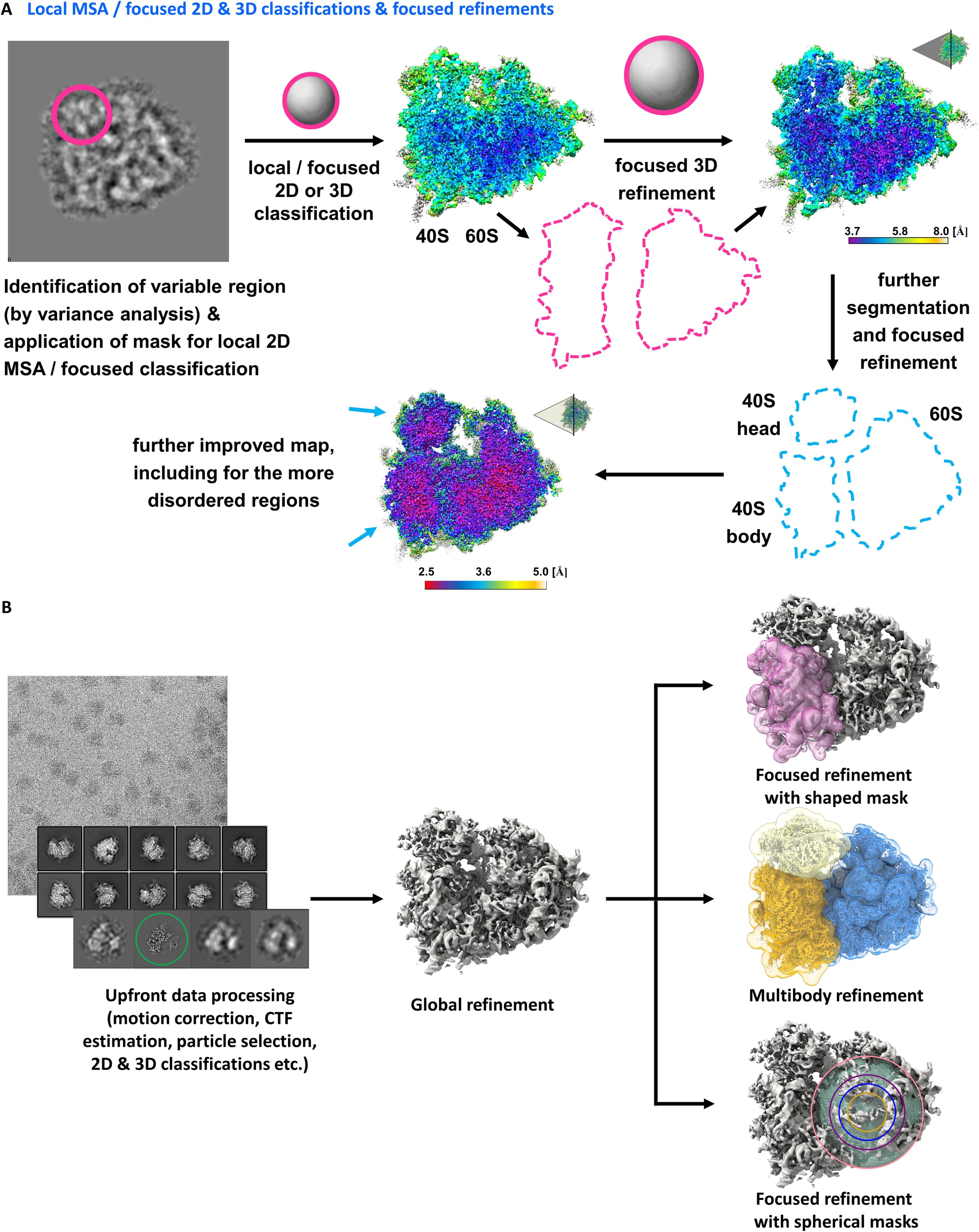 1917133067551100928-particle-classification-analysis-service-cryo-em1.jpg