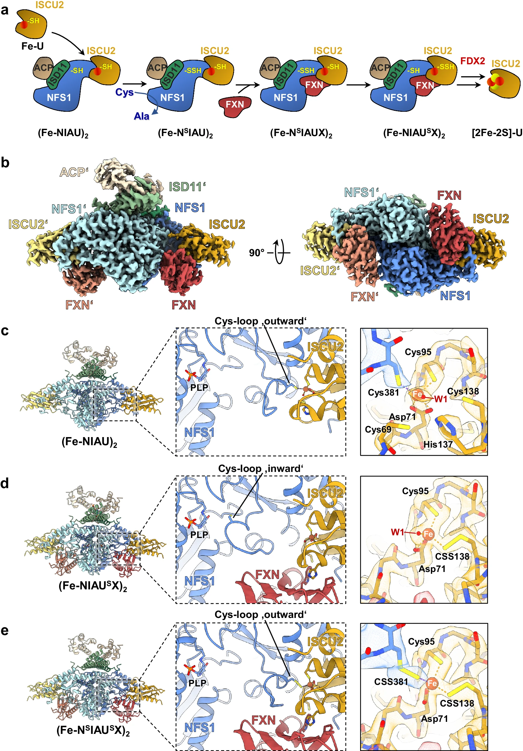 1917138411140534272-multi-protein-complexes-structure-characterization-service2.webp