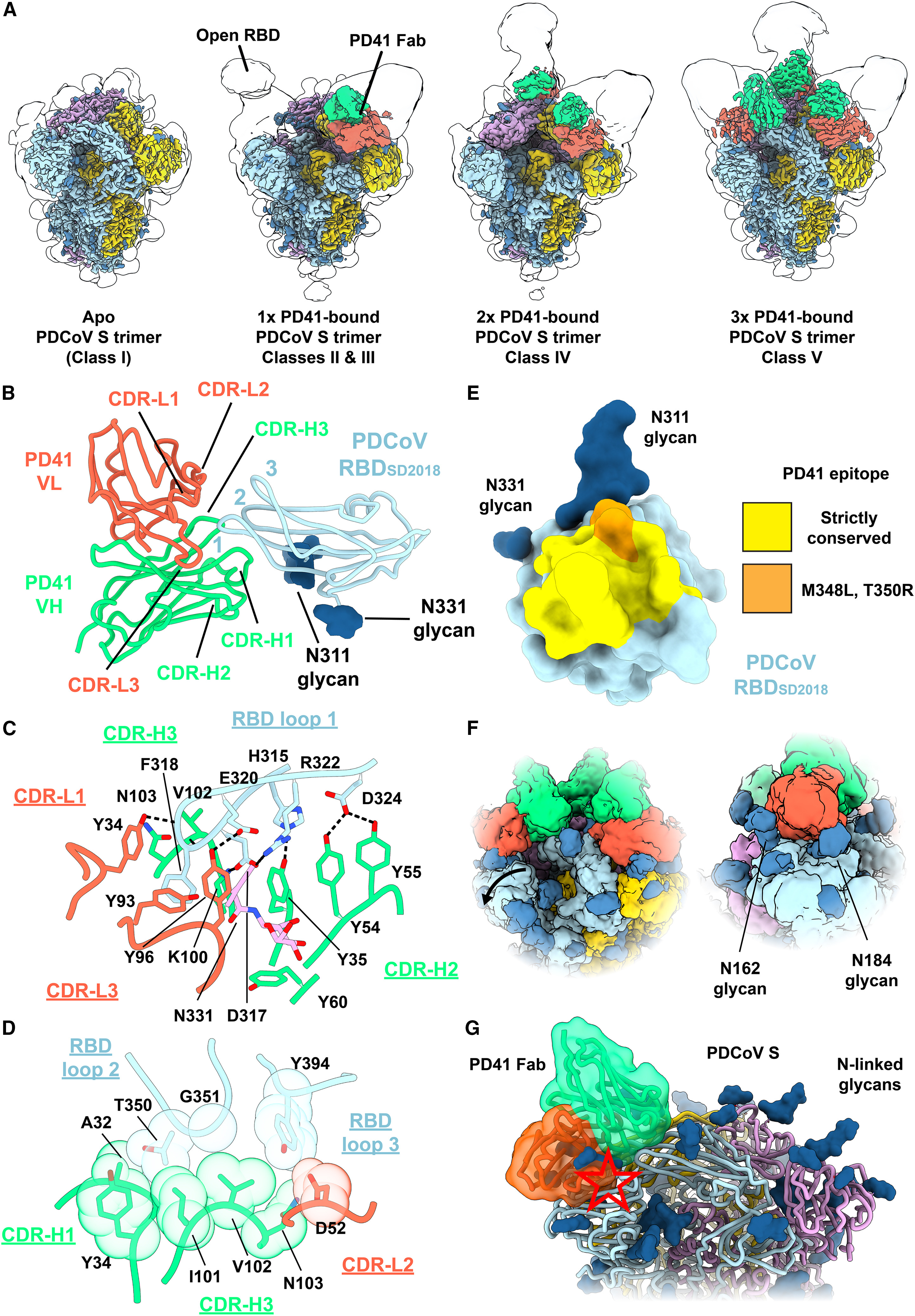 1917458892569825280-epitope-mapping-service-cryo-em1.jpg